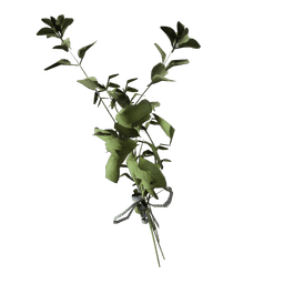 Great Mullein